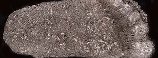 /conspiraciones/up/old/w49/yeti_5_28_11_2008.jpg